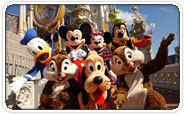 Disney World Group Tickets