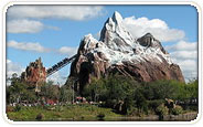 Disney's Animal Kingdom Group Tickets