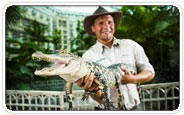 Gatorland Group Tickets