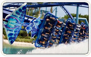 SeaWorld Orlando Group Tickets