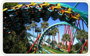 Busch Gardens Tampa