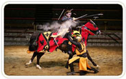 Medieval Times Dinner Show